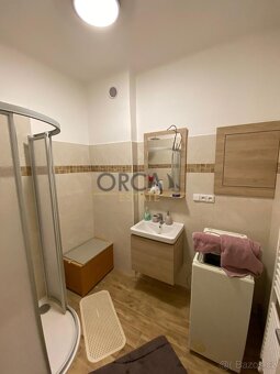 Pronájem rodinného domu v Moravanech u Kyjova - 17