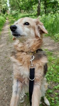 VIKY & ZORKA - umazlené babičky čekají na svého anděla - 17