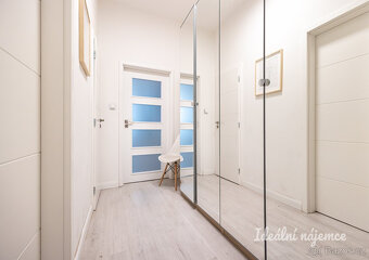 Pronájem bytu 2kk, Opletalova, Nové Město, 42 m2 - 17