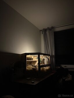 KLEC PRO KŘEČKA - 17