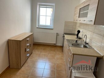 Pronájem velkého bytu 2+kk, 80m2 se zahradou, garáží a bazén - 17
