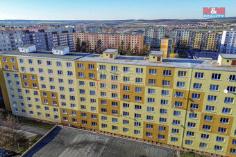 Prodej bytu 2+1, 50 m², Plzeň, ul. Macháčkova - 17