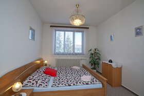 Penzion Minor ubytování České Budějovice - 17