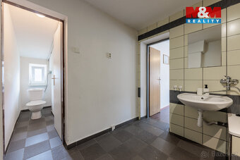 Prodej rodinného domu, 326 m², Stříbrná - 17