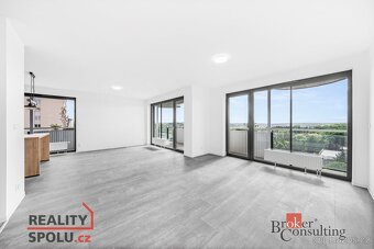 Pronájem, byty/4+kk, 118.49 m2, U Borského parku, Jižní Před - 17