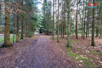 Prodej chaty, 55 m², Doksy, ul. Bílý kámen - 17
