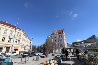 Pronájem reprezentativní kanceláře, 27m2, Praha 6 - Bubeneč, - 17