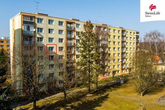 Prodej bytu 1+kk 20 m2 Popelnicová, Plzeň - 17