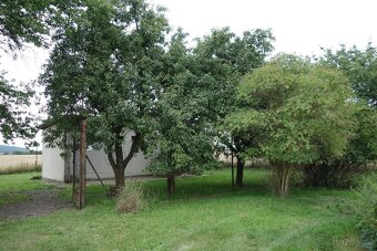 Zahrada - polosamota - 17