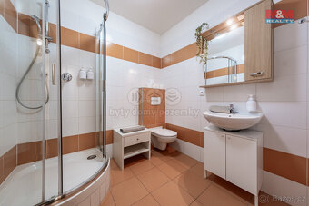 Pronájem bytu 3+kk, 102 m², Praha, ul. Žitná - 17