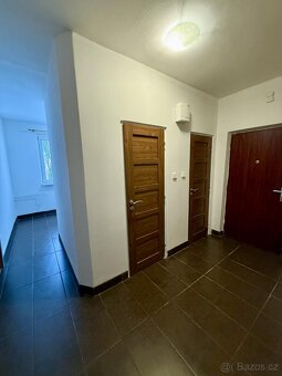 Pronájem bytu 2+1+L 55 m2 - 17