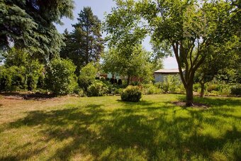 Prodej, zahrady, 454 m2, Kamený Pahorek, Košťany - 17