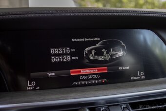 Alfa Romeo Stelvio 2.0T Q4 206kw A/T - 17