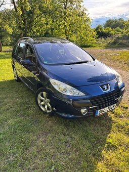 Peugeot 307 SW 1.6i 16v 80kw - 17