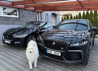 Jaguar I-Pace, EV400 AWD 90kWh Panorama - 17