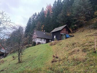 Chata/Dům Poniklá - 17