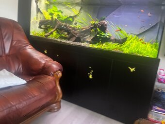 Akvárium cca 900litrů - 17