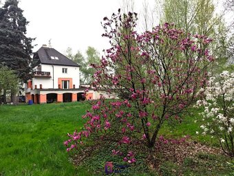 Prodej rodinné domy, 370 m2 - Dolany nad Vltavou - 17