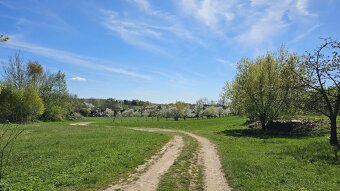 Vysočina vás volá RD 3+kk a 2+1 na pozemku 6.845m2, při Žele - 17