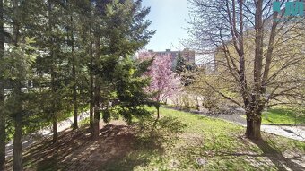 Pronájem bytu 1+1, 31 m2 - Vyškov - Dědice, ev.č. 01737 - 17