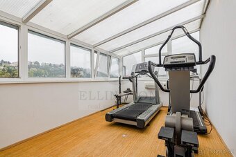 4+kk,235m2, Praha 5 - 17