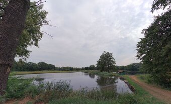 Prodej chaty Lázně Bohdaneč - 17