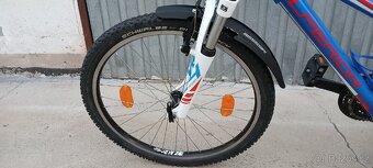 Superior Racer 24" - 17