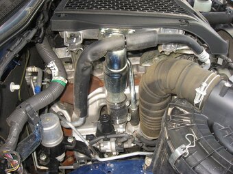 Toyota Hilux 2.5D-4D 144PS Double Cab Terra M/T 4x4 - 17