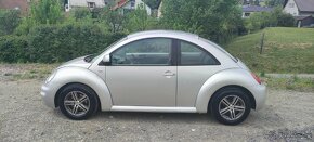 New Beetle - 17