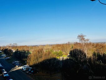 Byt 1+1 Chvaletice-Telčice, 29 m2 - 17