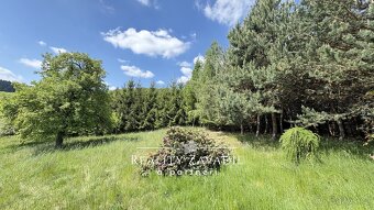 Prodej rodinného domu, zemské usedlosti a pozemku, 170 m2/ 2 - 17