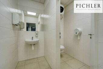Pronájem obchodního prostoru, 1000 m², Plzeň, ul. Bedřicha S - 17