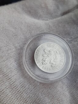 5 haliernik 1955 - 17