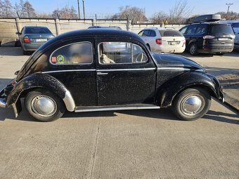 Volkswagen chrobak OVAL 1956 s TP - 17