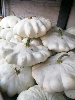 Prodej dýní - 17