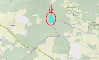 Prodám lesní pozemky v k.ú. Nicov - 17