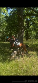 Docházka ,výuka ,pronájem - 17