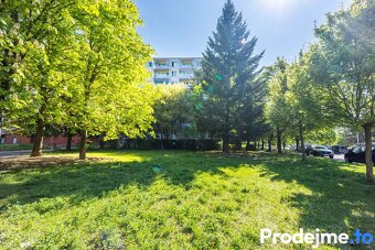 Prodej bytu 1+kk, 36 m2 - Ukrajinská, Brno - Bohunice - 17