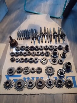 Prase 501/502 - 17