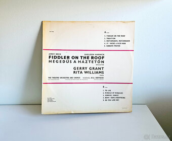 LP gramofonové desky I - 17