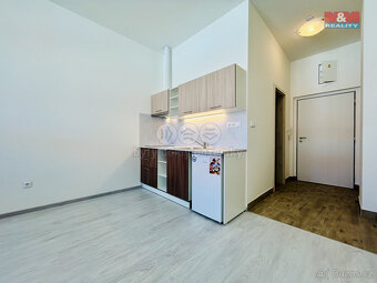 Pronájem bytu 1+kk, 24,5 m², Janovice n. Úhlavou - 17