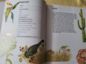 naučné a zábavné pro děti - 17