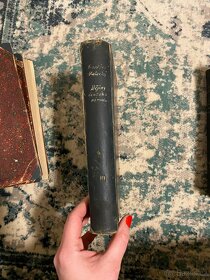 Dějiny národu českého v Čechách a v Moravě z let 1894-1896 - 17