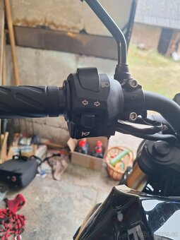 Fosti 50ccm - 17