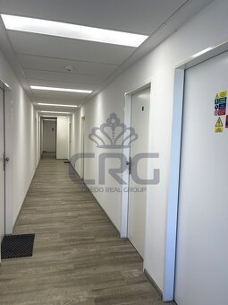 PRONÁJEM NEBYTOVÉHO PROSTORU O CP CCA 15,20 M2, MALOMĚŘICE - 17