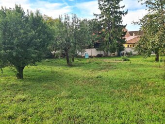 Prodej RD 3+1 a stavební pozemek v obci Louka - 17