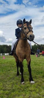Připouštění wpbr,čsp plem.hřebcem 878 Grey - 17
