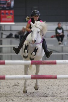 Sepík - stáj, kde se váš talent rozvine naplno - 17