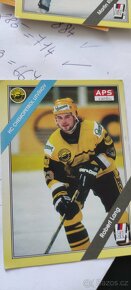 Hokejové karty extraliga ročník 1994,1995 - 17