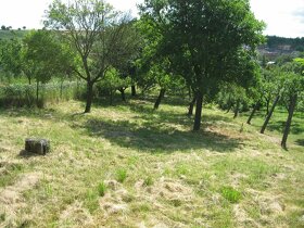 Stavební pozemek, Jalubí - 17